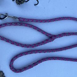 Nice Woven 5’ Dog Leash