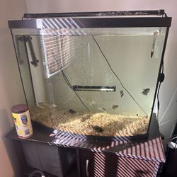 40 gal fish tank w/ fish tank stand and supplies