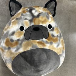 NWT Squishmallows 16” plush 