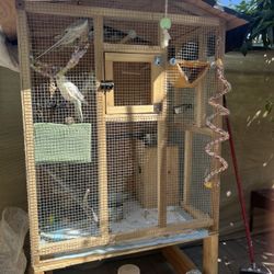 Bird Cage