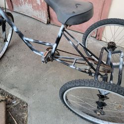 Trike Bicycle 
