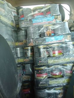 Purina wet dog food