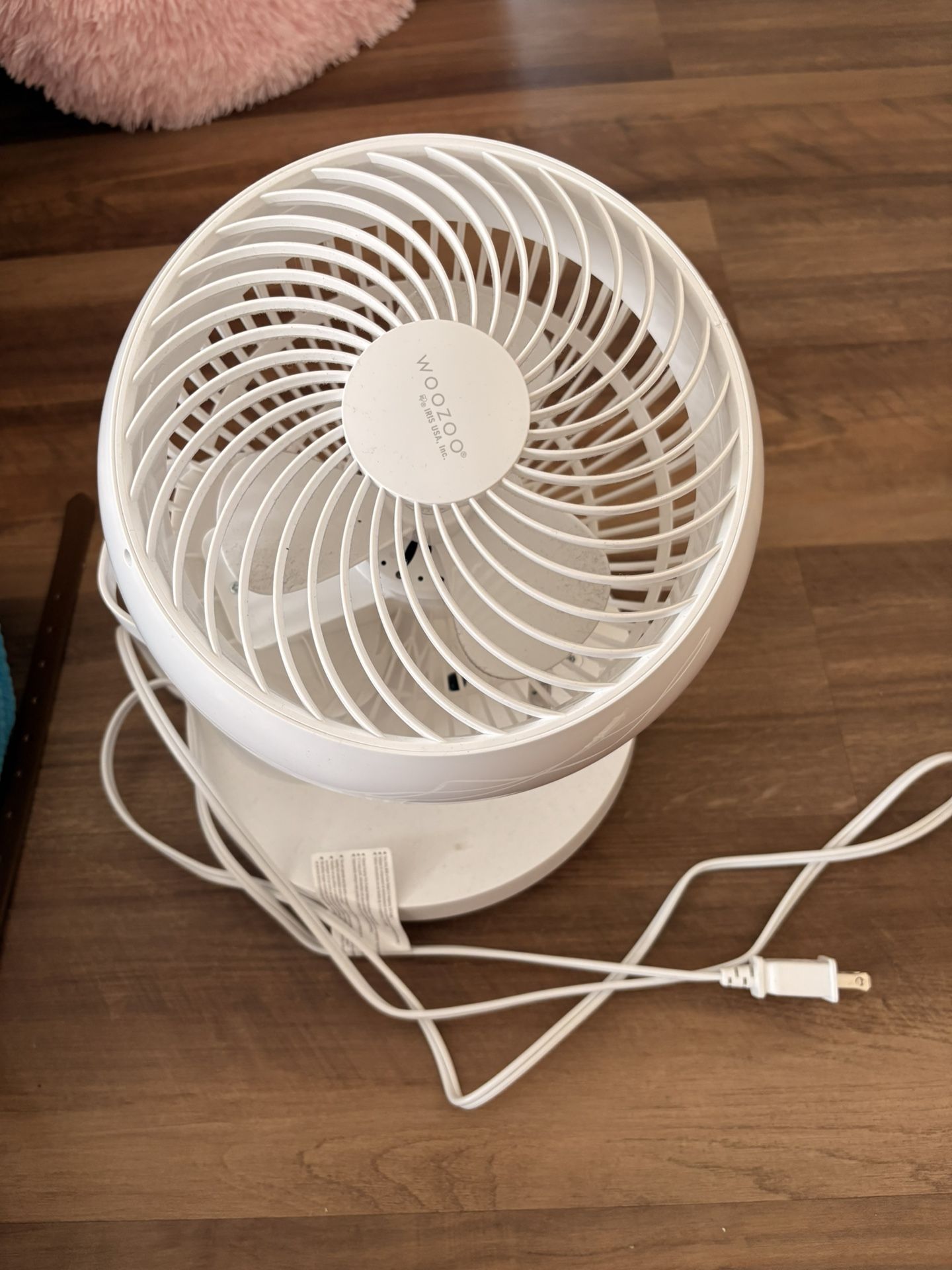 Fan