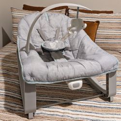 Baby Rocker, Bouncer, Toddler Chair