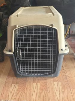 Medium Plastic Dog Crate with Wire Door