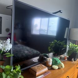 55” Vizio Smart TV - OBO