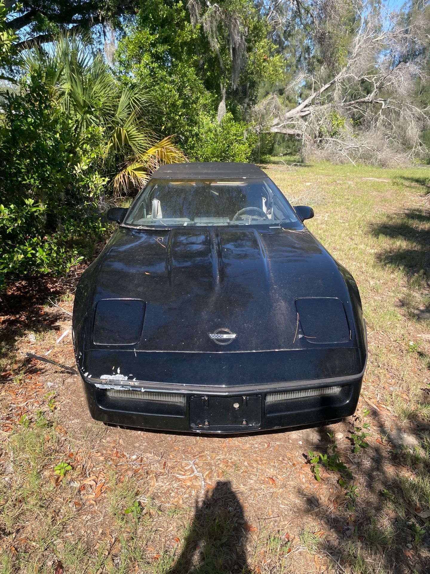 1987 Chevrolet Corvette/Lexus LS460 for Sale in Tarpon Springs, FL ...