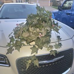 Feak Plant home Decor