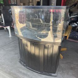 Fish Tank 