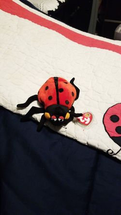 Beanie Baby 2004 Countess