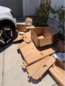 Cardboard