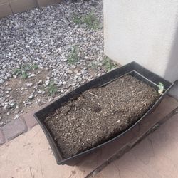 Free 8 X 20 Planter Box With Dirt 
