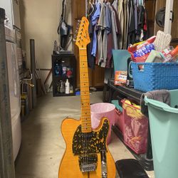 Firefly Mad Cat Telecaster Guitar