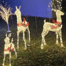 Christmas  Deer  Family  (Deer Only )