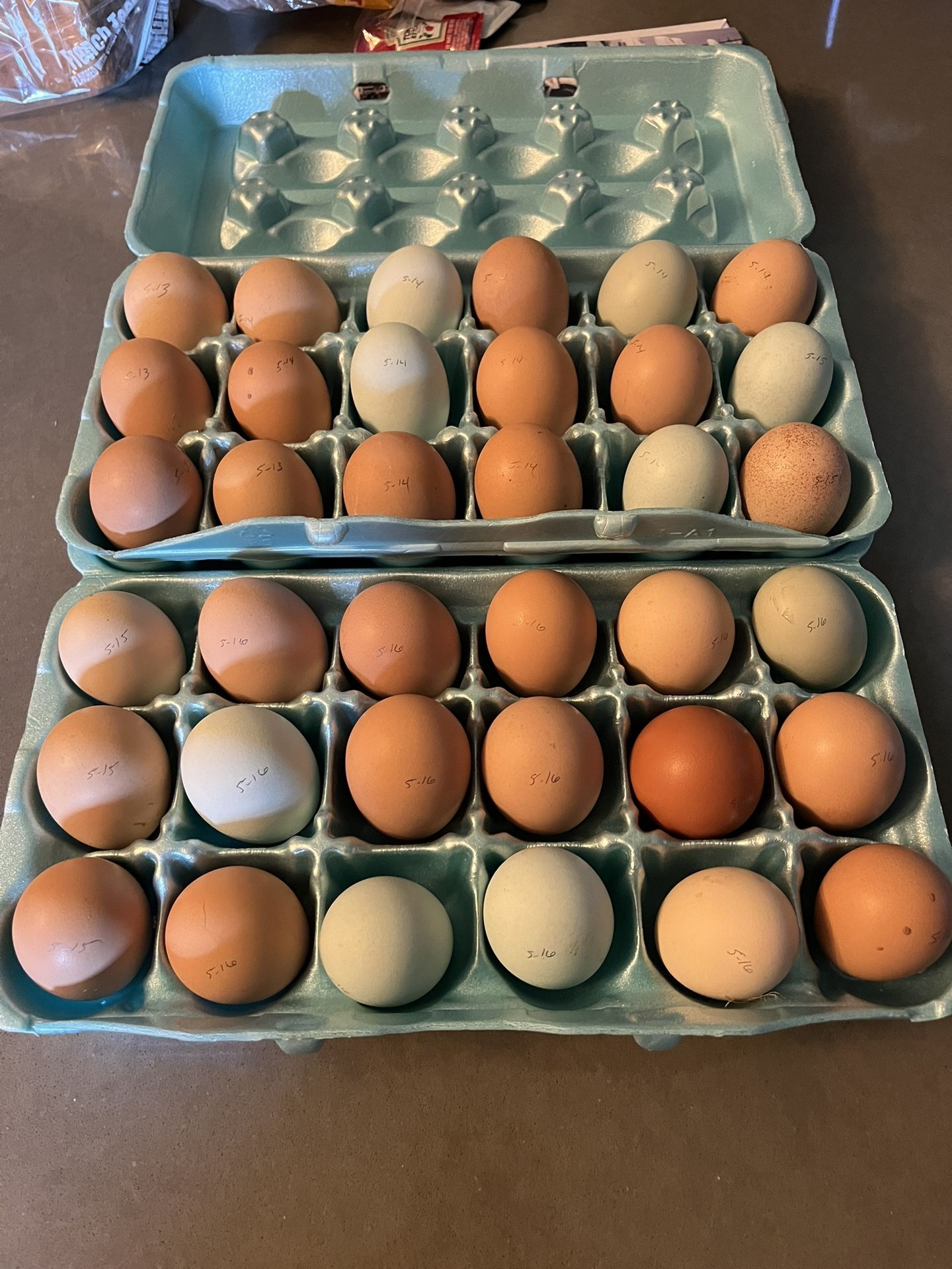 Chicken Eggs