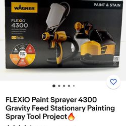 Paint Sprayer