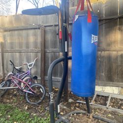 Bolsa De Boxeo En Buenas Condiciones 