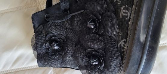 Tennis/ Converse Shoes