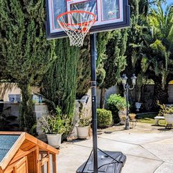 8ft Full Size Basketball Hoop (Includes Backboard With Net) Foldable/Mobile