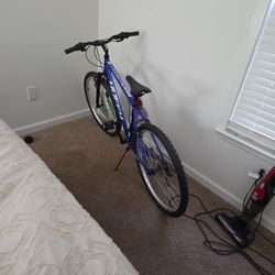Adult Huffy Bicycle