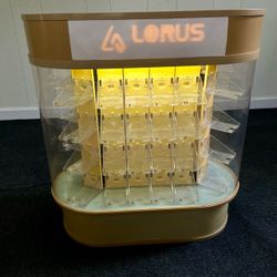 Vintage Lorus Watch Case