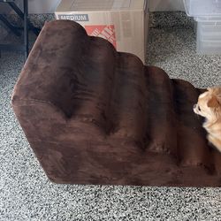 Animals Matter Stairs