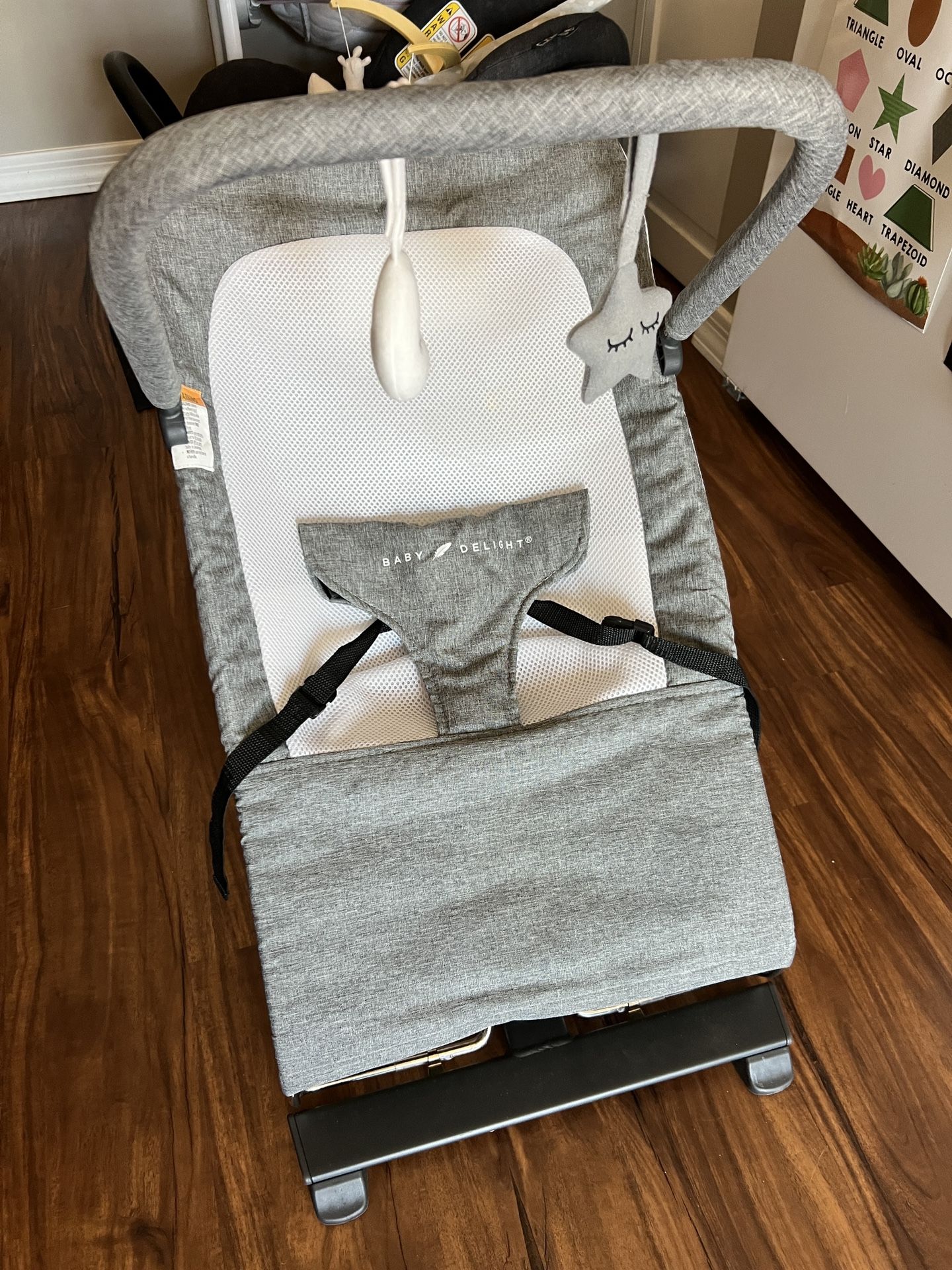 Baby Delight Bouncer – Lightweight & Collapsible