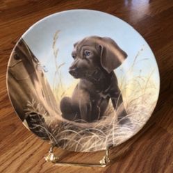 Weimaraner Dog Collector’s Plate, limited edition 