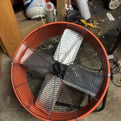 Fan