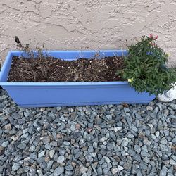 2 ft Blue Planter Box w/ Flower 🌸