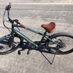 Beach Cruiser E-Bike 
