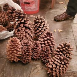 Pine Cones For Decorating Xmas Ideas wreath Bonding Time .All Organic, Hand Picked With Love.