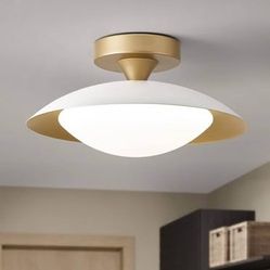 Ceiling Light