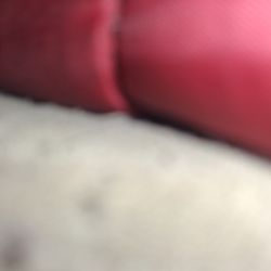 computer chair dog bed