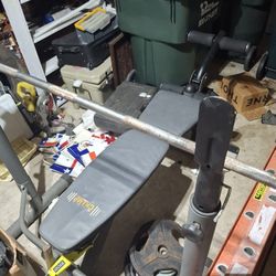 Weight Bench
