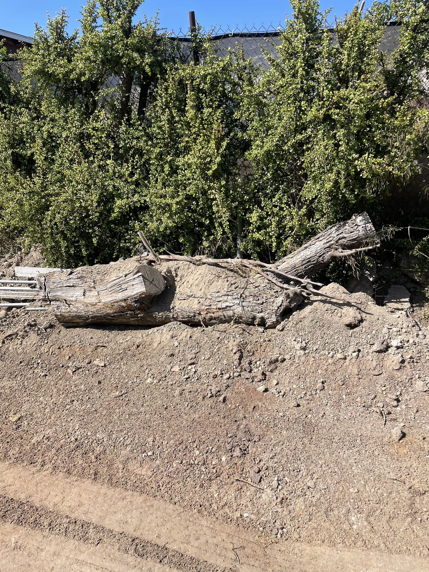 Free Log Firewood