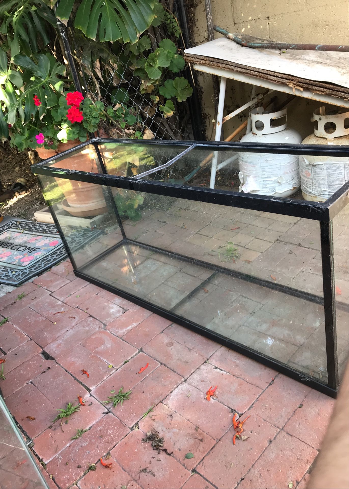 55 Gallon Tall Fish Tank
