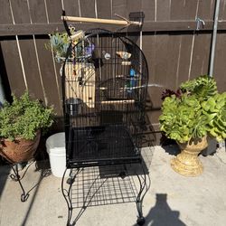BIG BIRD CAGE WITH WOOD PERCHES 