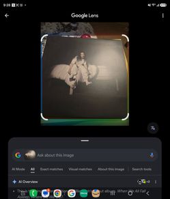 Billie elish when we all fall.asleep vinyl