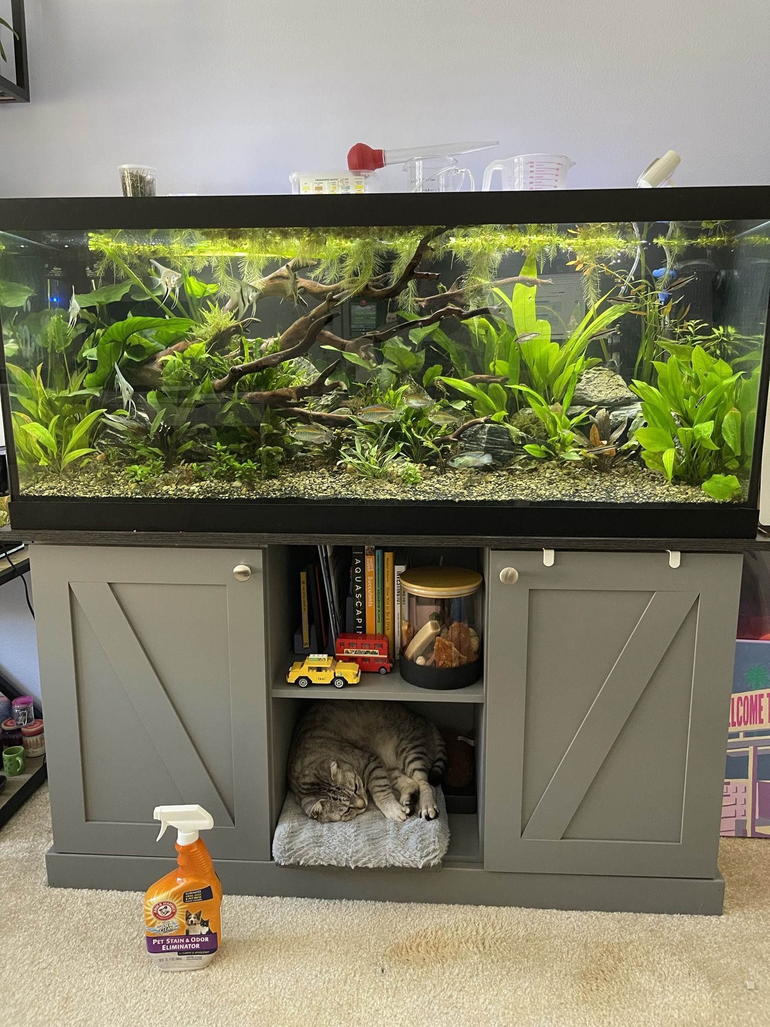 75g 4ft Aquarium With Solid Wood Stand