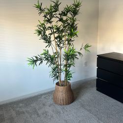 Bamboo Plant With Holder 