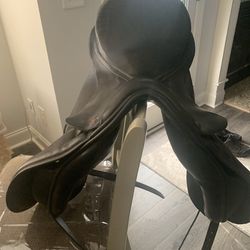 Albion Dressage Saddle