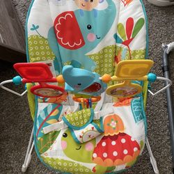 Baby Bouncer