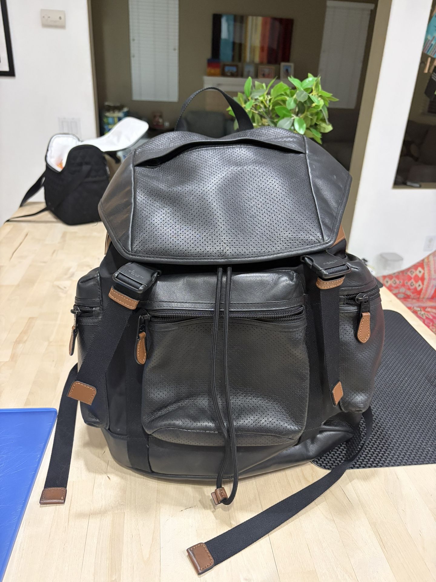 Coach Leather Backpack