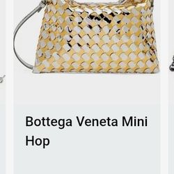 Bottega Veneta Bag