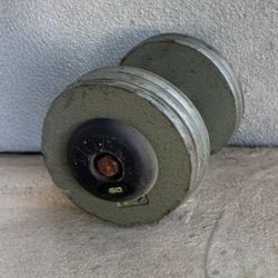 Single 60lb Dumbbell