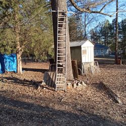 Ladder 