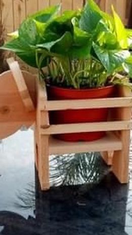 Unique Handcrafted Wood Plant Holders