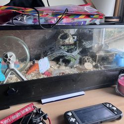 Reptile/Hamster Cage 