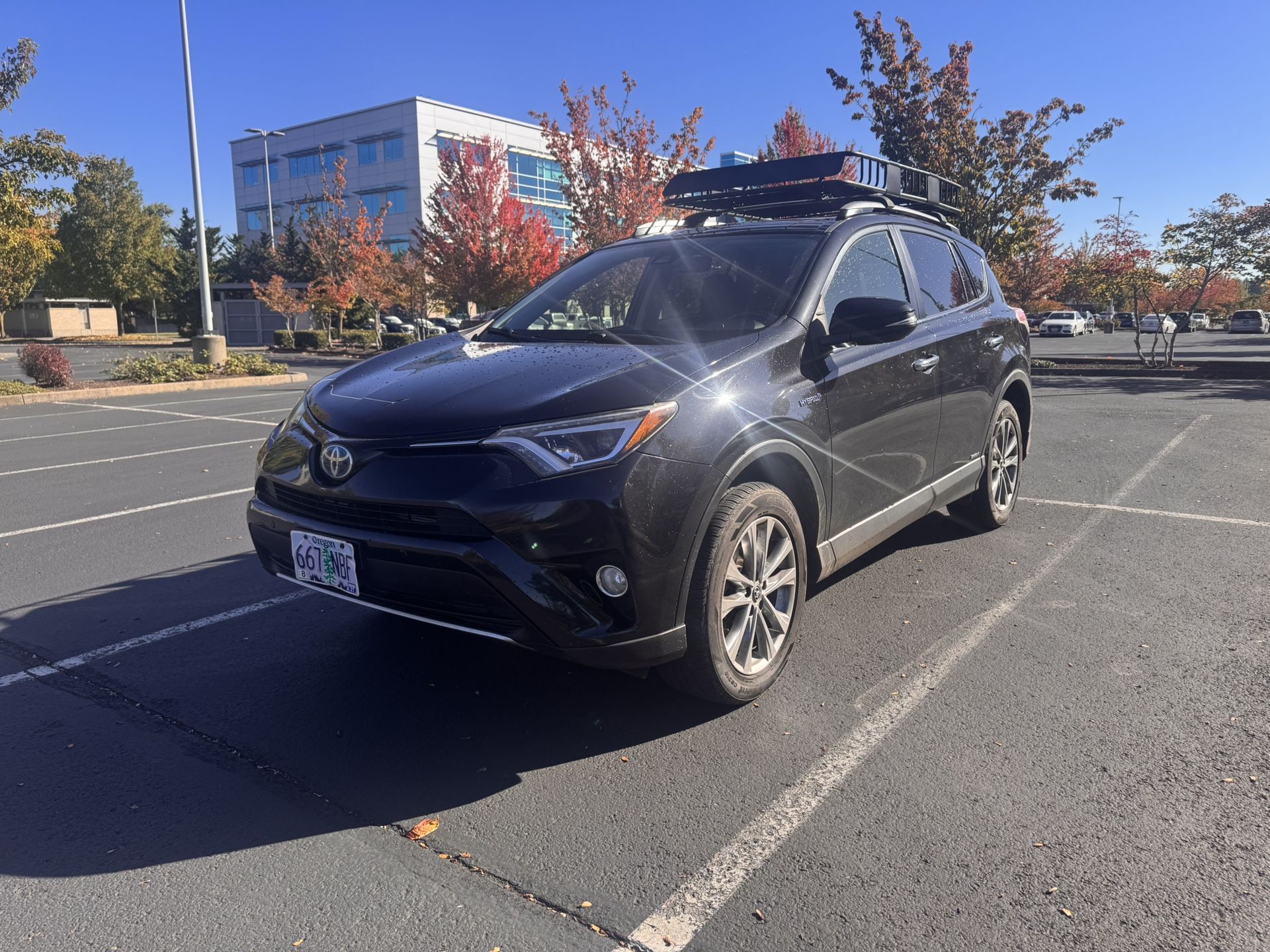 2018 Toyota Rav4 Hybrid